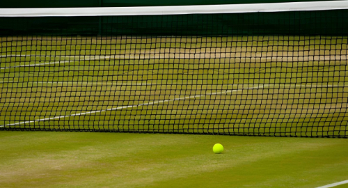 Wimbledon, Italia da record: Sinner, Cobolli e Paolini ai quarti